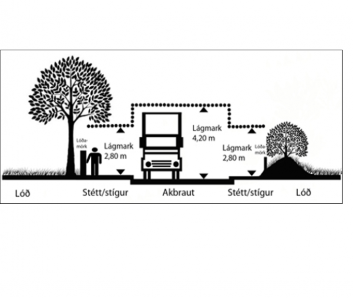 Trjágróður á lóðarmörkum
