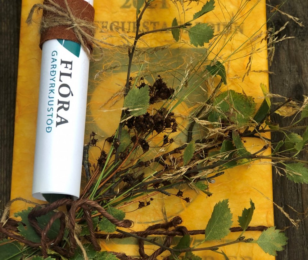 Fegurstu garðarnir 2021