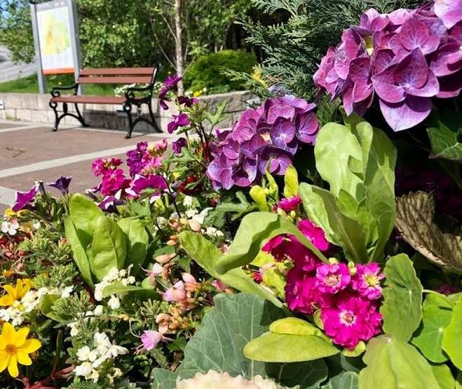 17. júní 2020 og ljóð fjallkonunnar