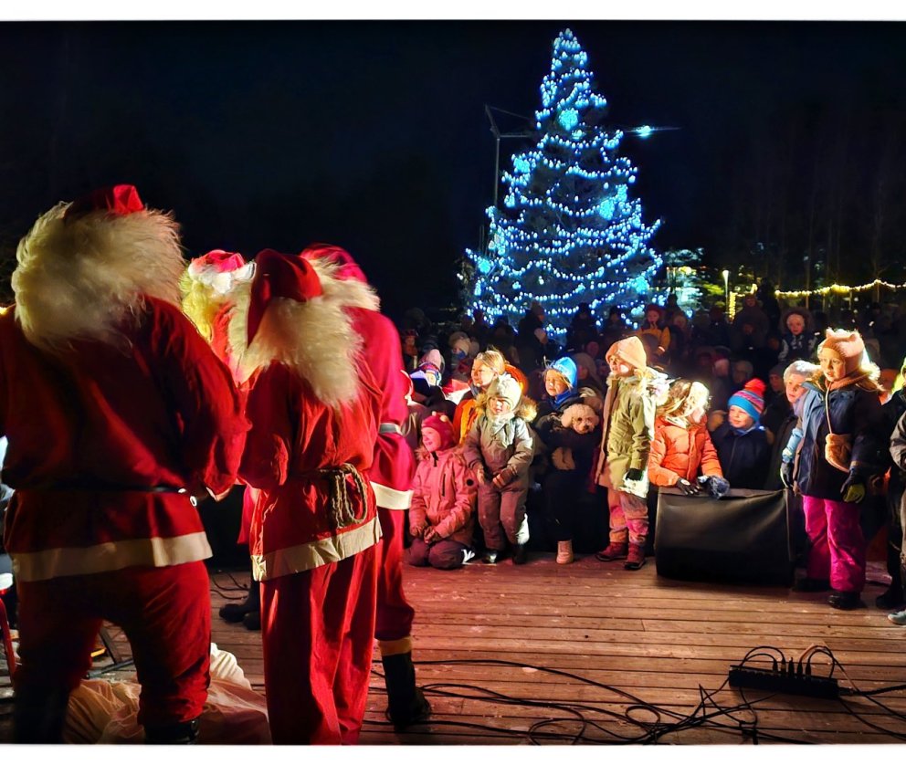 Tendrað á jólatrénu í Lystigarði