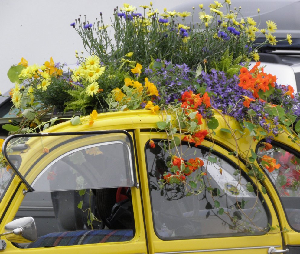 Blómstrandi dagar í Hveragerði