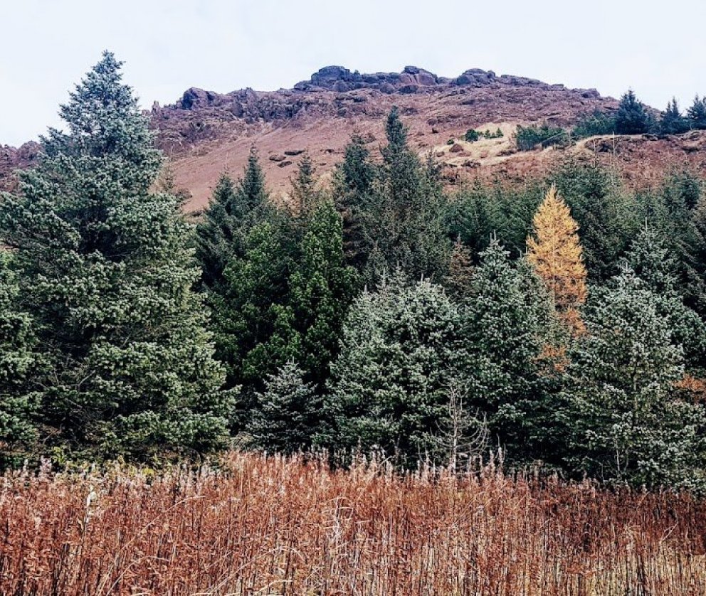 Tilkynning frá Sjóðnum góða í Árnessýslu