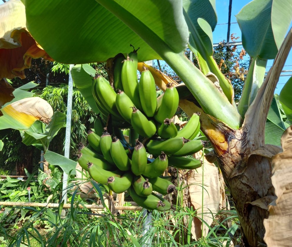 Heimsókn í Garðyrkjuskólann 13. apríl 2023