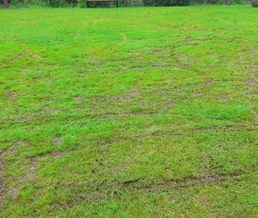 Miklar skemmdir unnar á Lystigarðinum