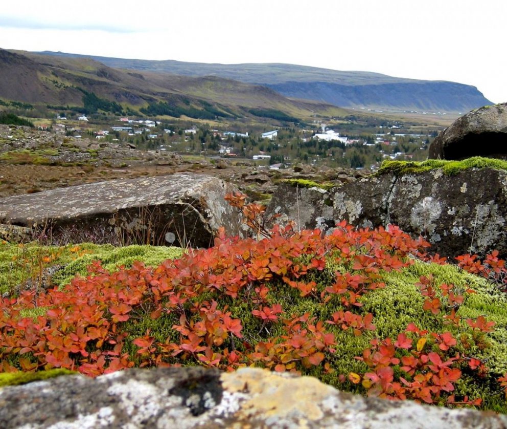 Árgangur 1989 fjölmennastur í Hveragerði