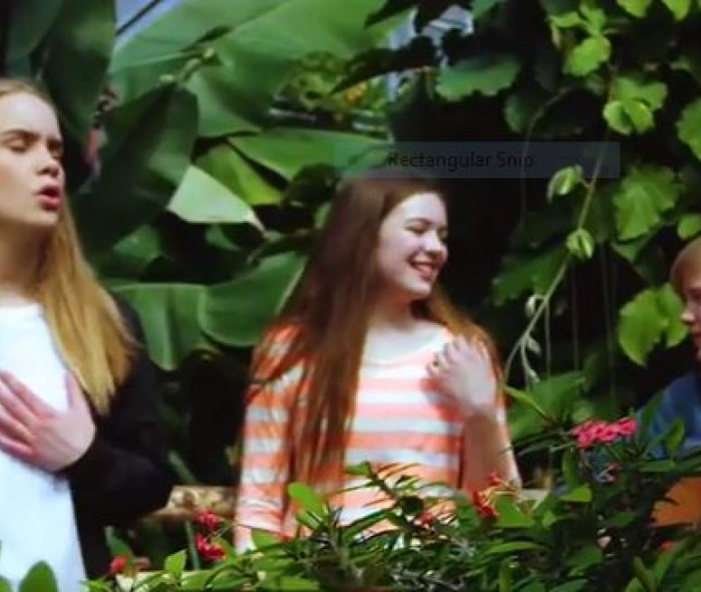 Sumarsmellurinn í ár