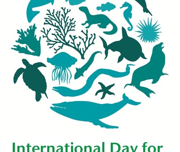 Dagur líffræðilegs fjölbreytileika