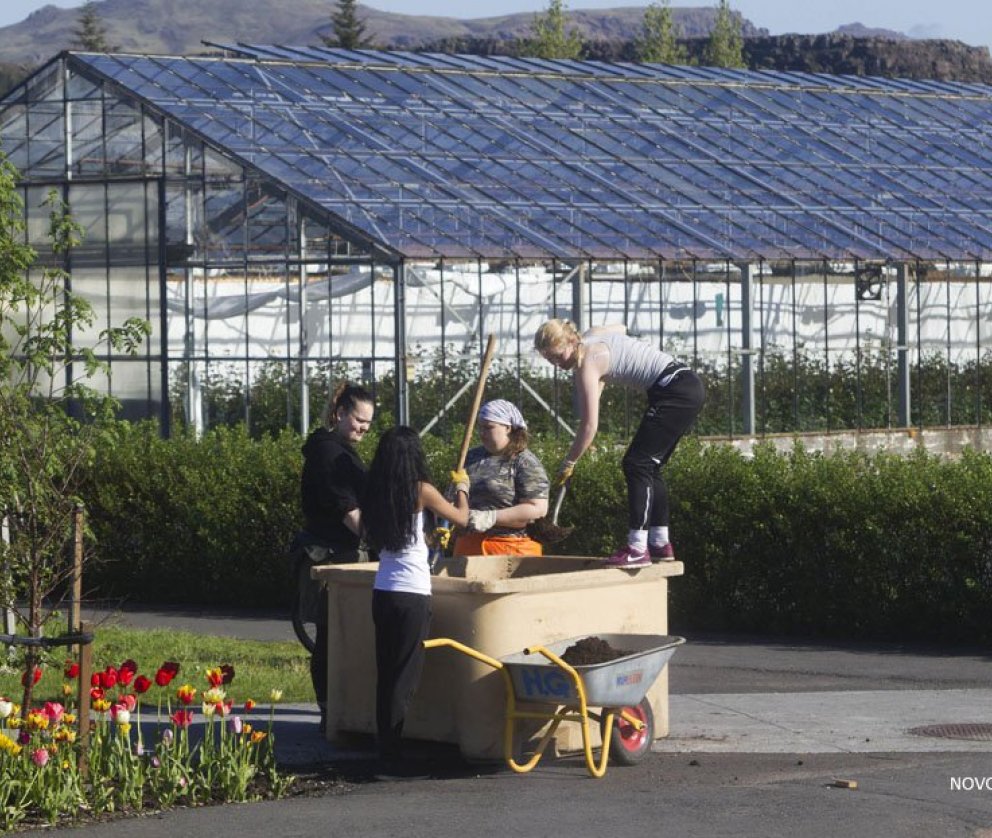 Styrkja þarf umgjörð landbúnaðar