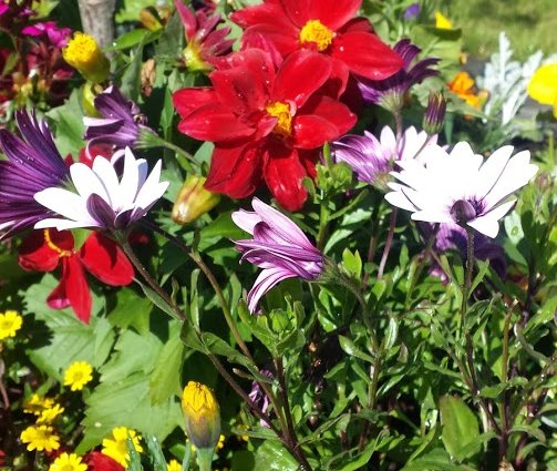 Sumardagurinn fyrsti 2019