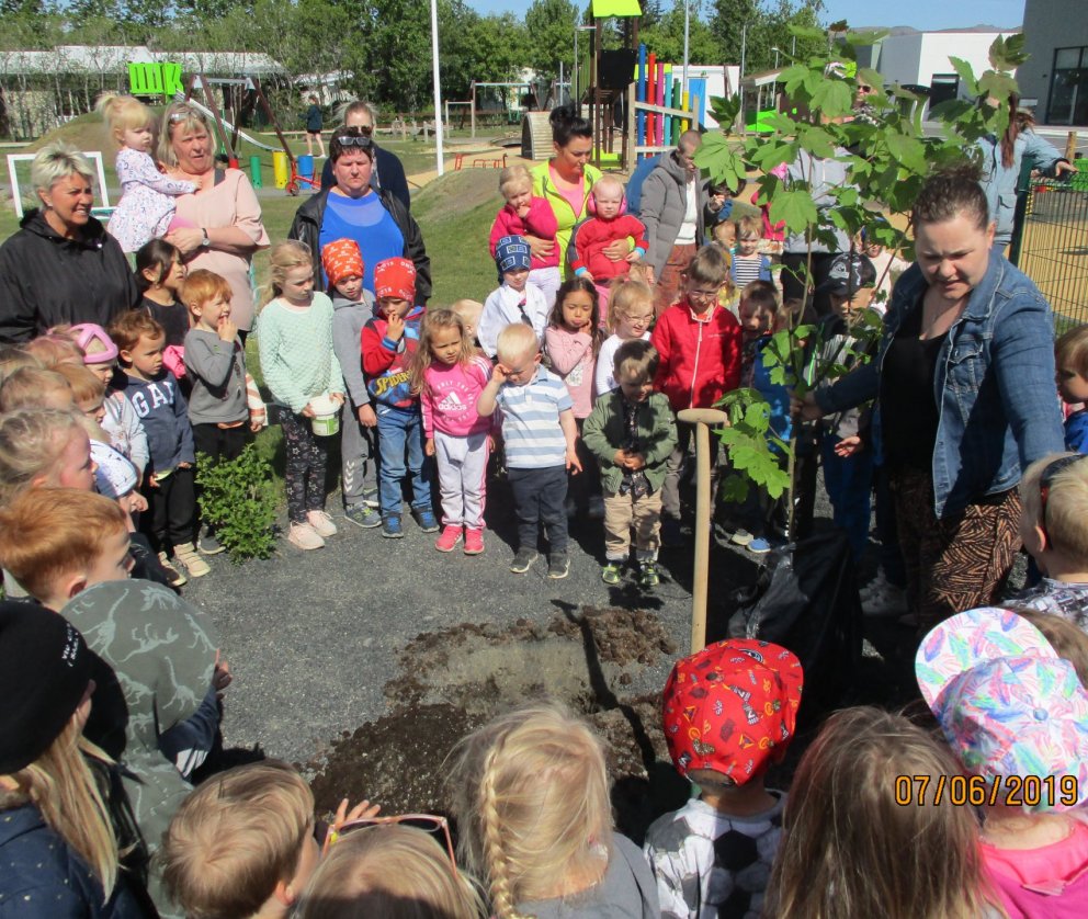 Leikskólinn Undraland með verkefni í tengslum við bæjarhátíðina Blóm í bæ – Græna byltingin.