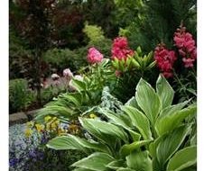 Garðaskoðun Árnesingadeildar Garðyrkjufélags Íslands