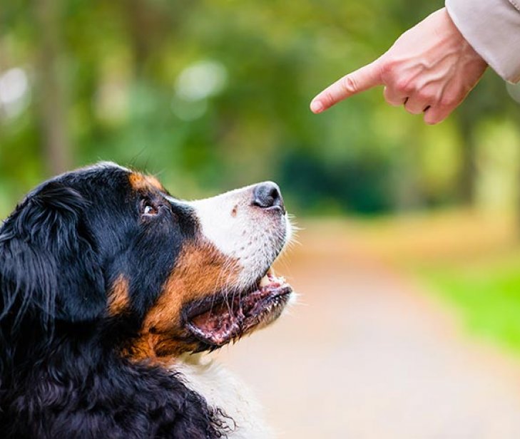 Minnkum geltið - gleðjum grannann !