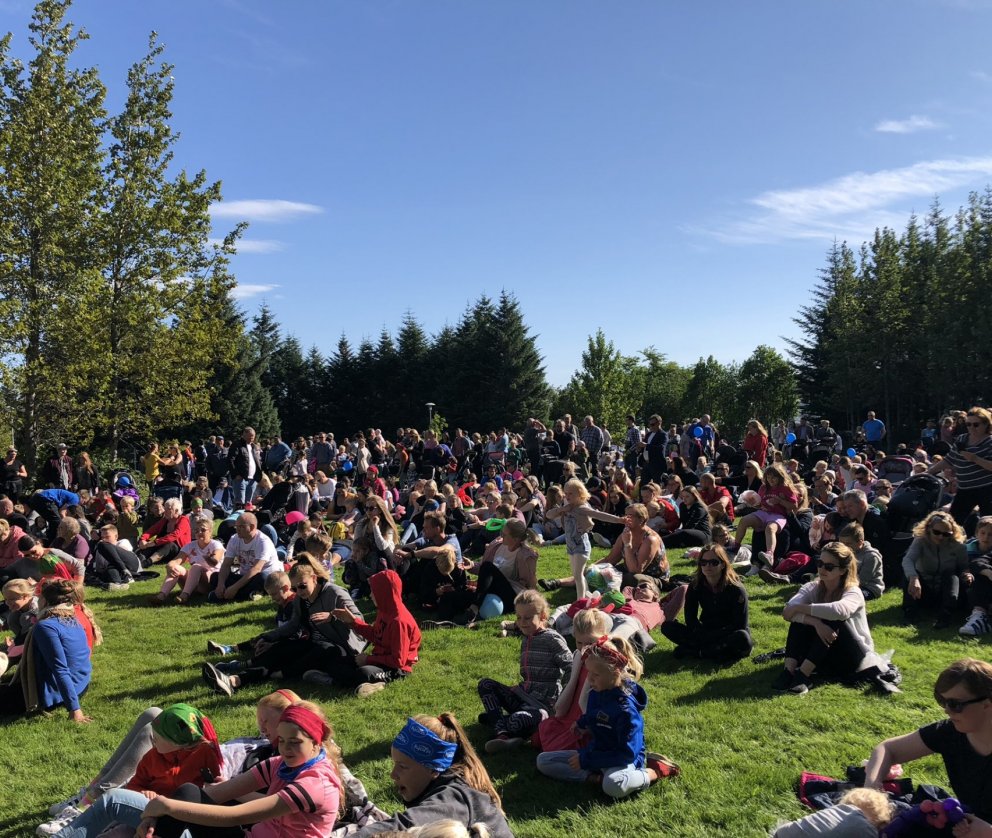 Blómstrandi dagar 2019