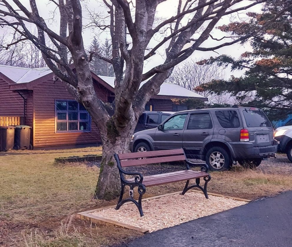 Bekkur undir hverfisvernduðum garðahlyn