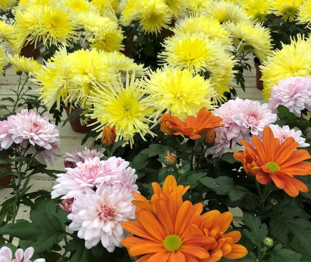 Íbúafundur - endurskoðun aðalskipulags Hveragerðisbæjar