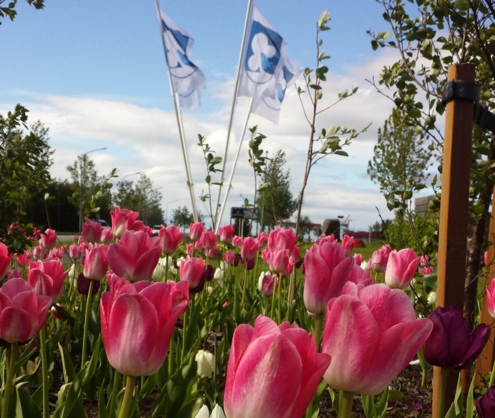 Hveragerðisbær sendir sumarkveðjur