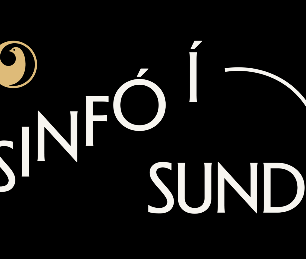 Sinfó í sundi á föstudaginn