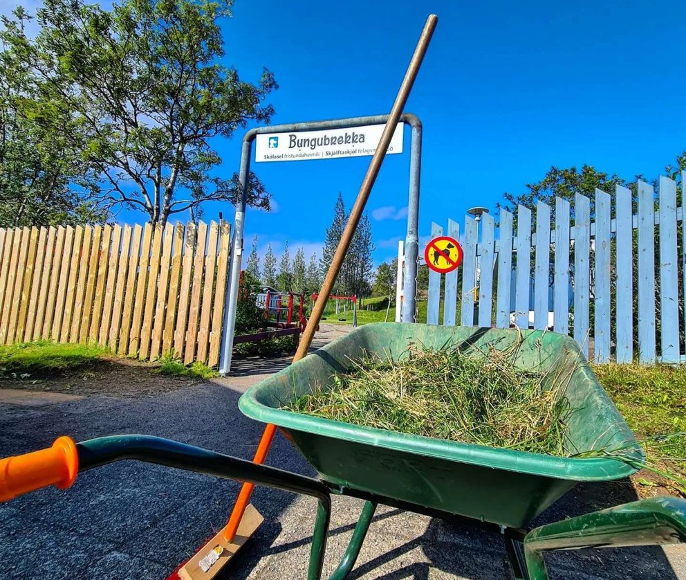 Hreinsunarvika og plokkdagurinn mikli!