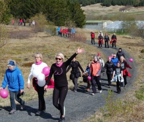 Hreyfum okkur daglega - 2