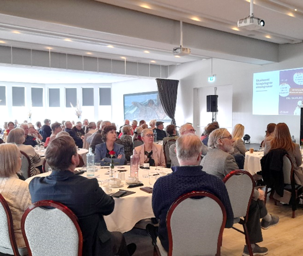 Niðurstöður Íbúaþings 60+ þann 22. mars 2025