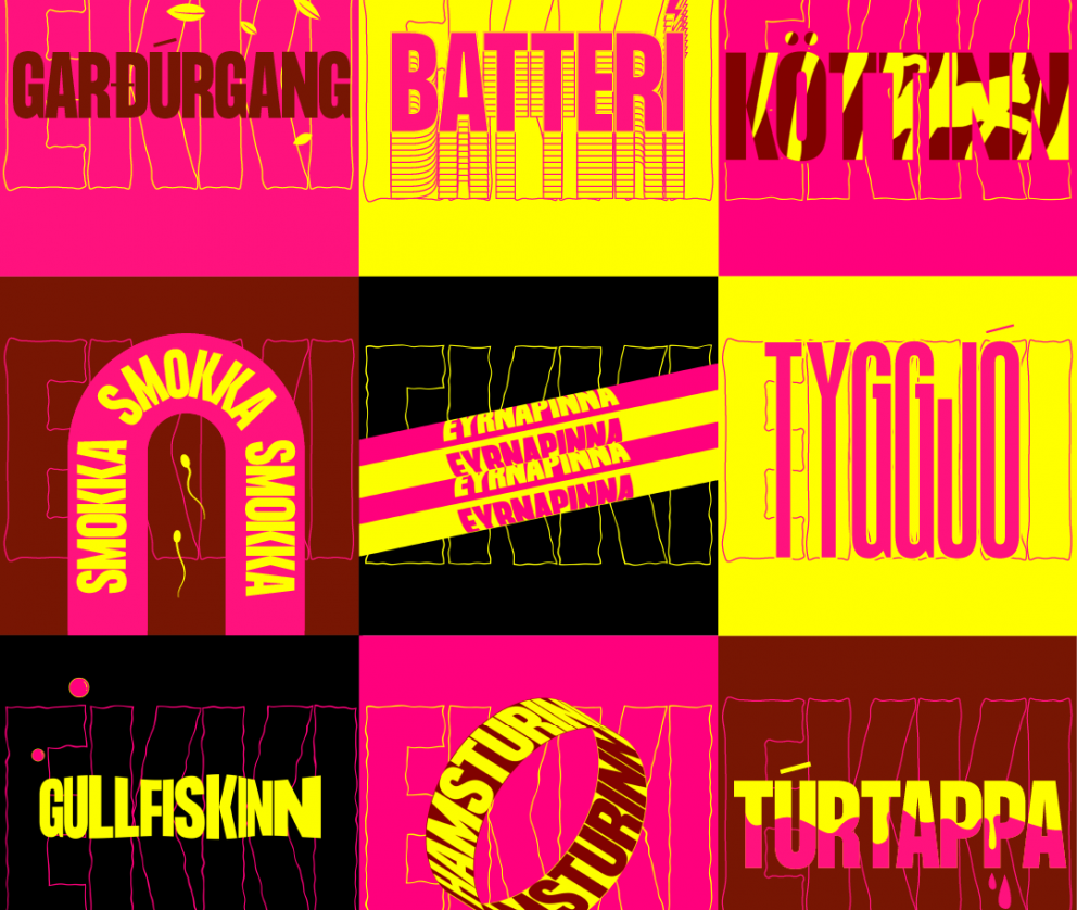 Alþjóðlegi klósettdagurinn er í dag