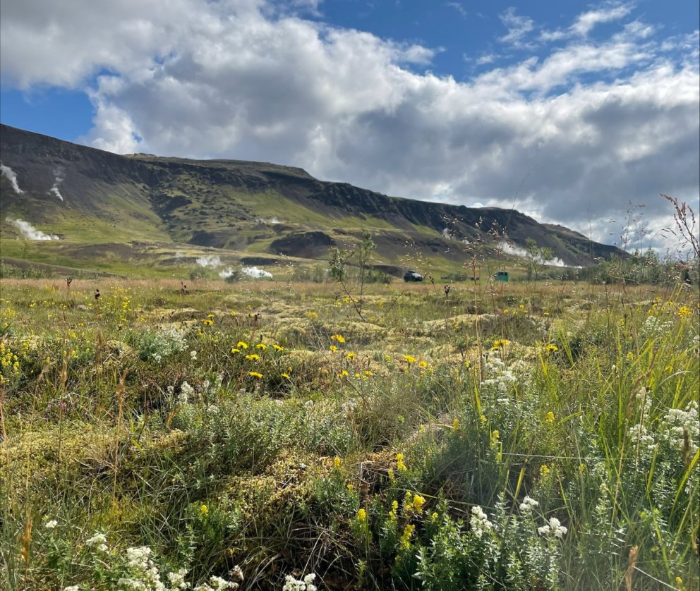 Fyrirhuguð staðsetning gervigrasvallar í Hveragerði