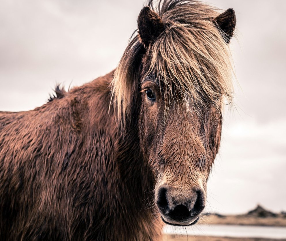 mynd://unsplash.com/@osalom