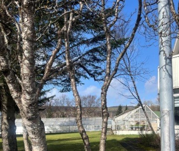 Heiðmörk 30-36, Grundarreitur - skipulagslýsing fyrir nýtt deiliskipulag og breytingu á aðalskipulag…