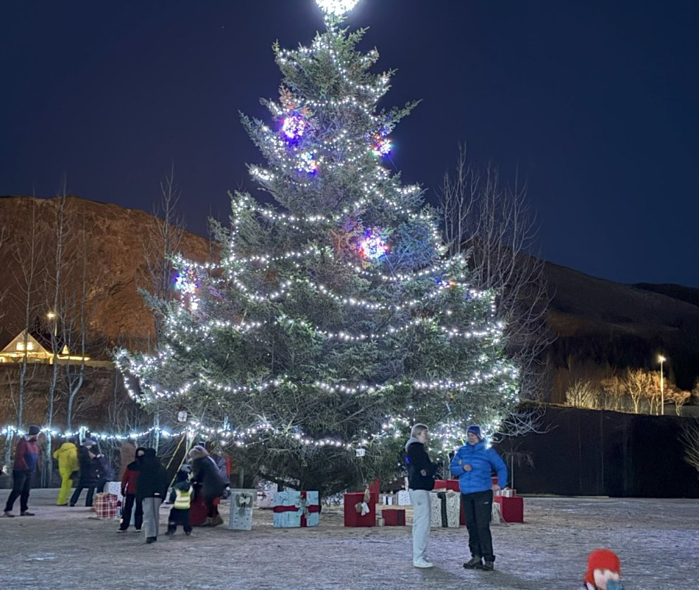 Kveikt á jólatrénu við fallega athöfn í Lystigarðinum