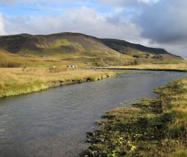Ónæg vatnsgæði í Varmá.