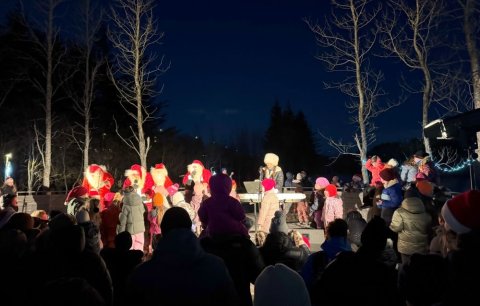 Jólatrésskemmtun í Lystigarðinum